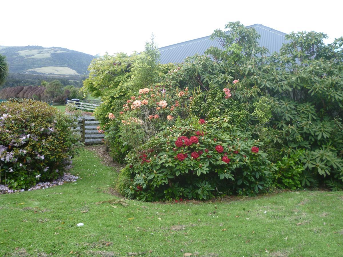 Hilltop Accommodation Catlins Papatowai エクステリア 写真